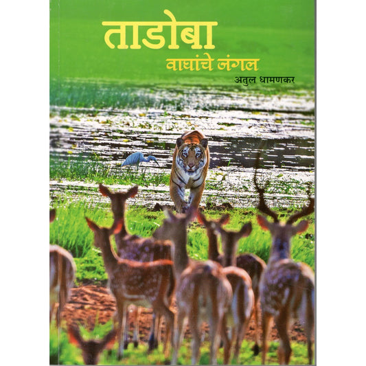 Tadoba By Atul Dhamankar