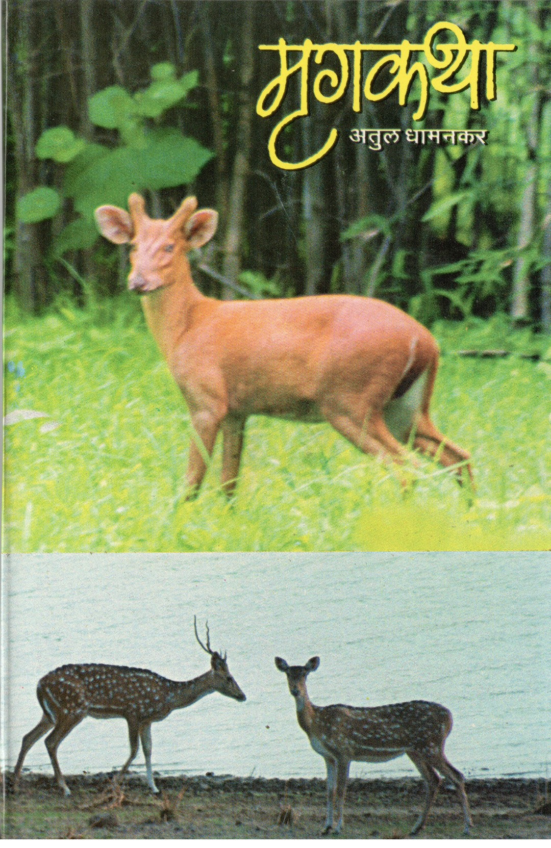 Mrugkatha By Atul Dhamankar